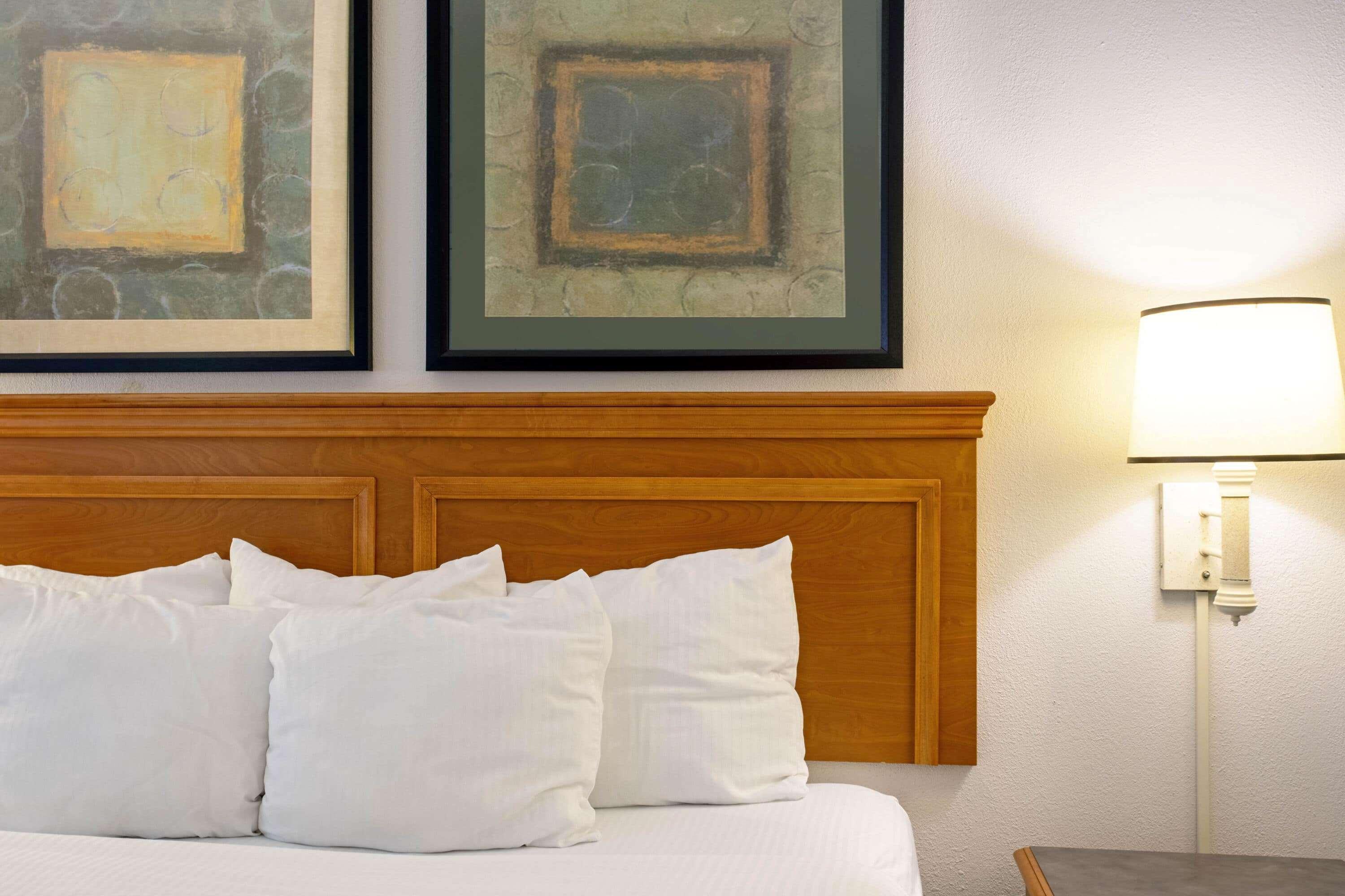 Hotel La Quinta Lexington-horse Park Lexington